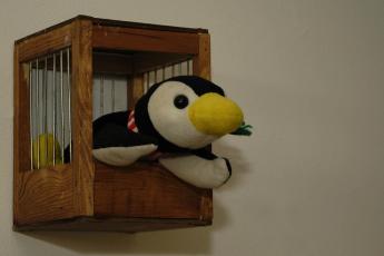 ...gekooide pinguïn...