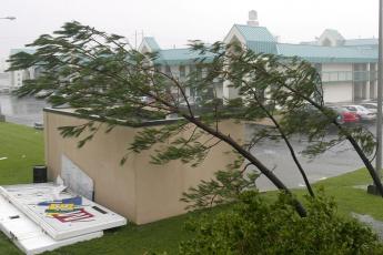 Twee bomen blijven ternauwernood overeind.