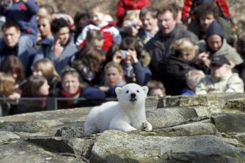 ...genoeg belangstelling...