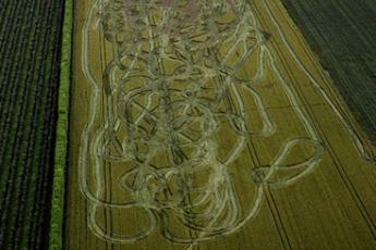 Het resultaat van de achtervolging in het veld.