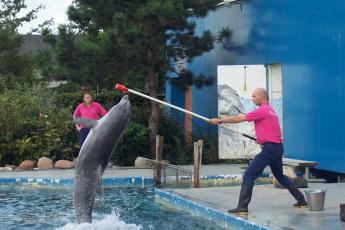 …hoger en hoger…