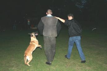 …transport arrestant…