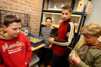 ...schoon zaagsel...