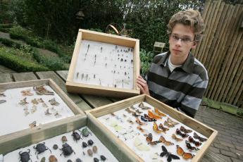 Harmen heeft ongeveer 150 vlinders en insecten.