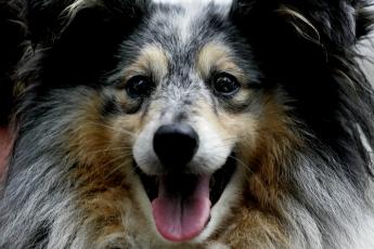 ...past deze beter bij de bank?....