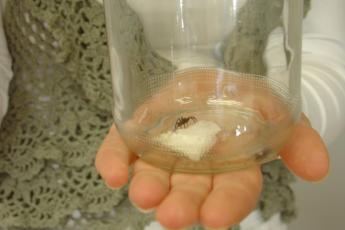 Het jampotje op de hand.