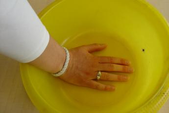 ...de spin is er bijna...