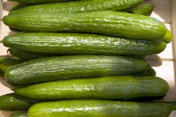 ...komkommers...