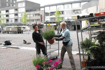 Planten worden op karretjes geladen.