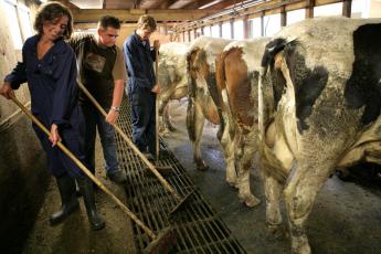 Boeren bikkelen, benadrukt Gerard.