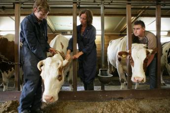 Gerard de Jong (l.), Corine Bruggink en Gert van den Brink.