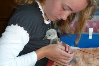 Sjors, één dag oud.