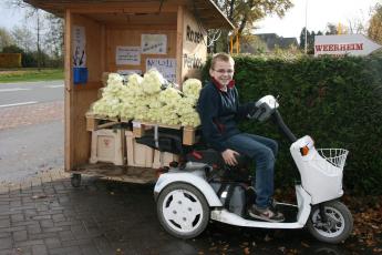 Rozen bezorgen op scootmobiel.